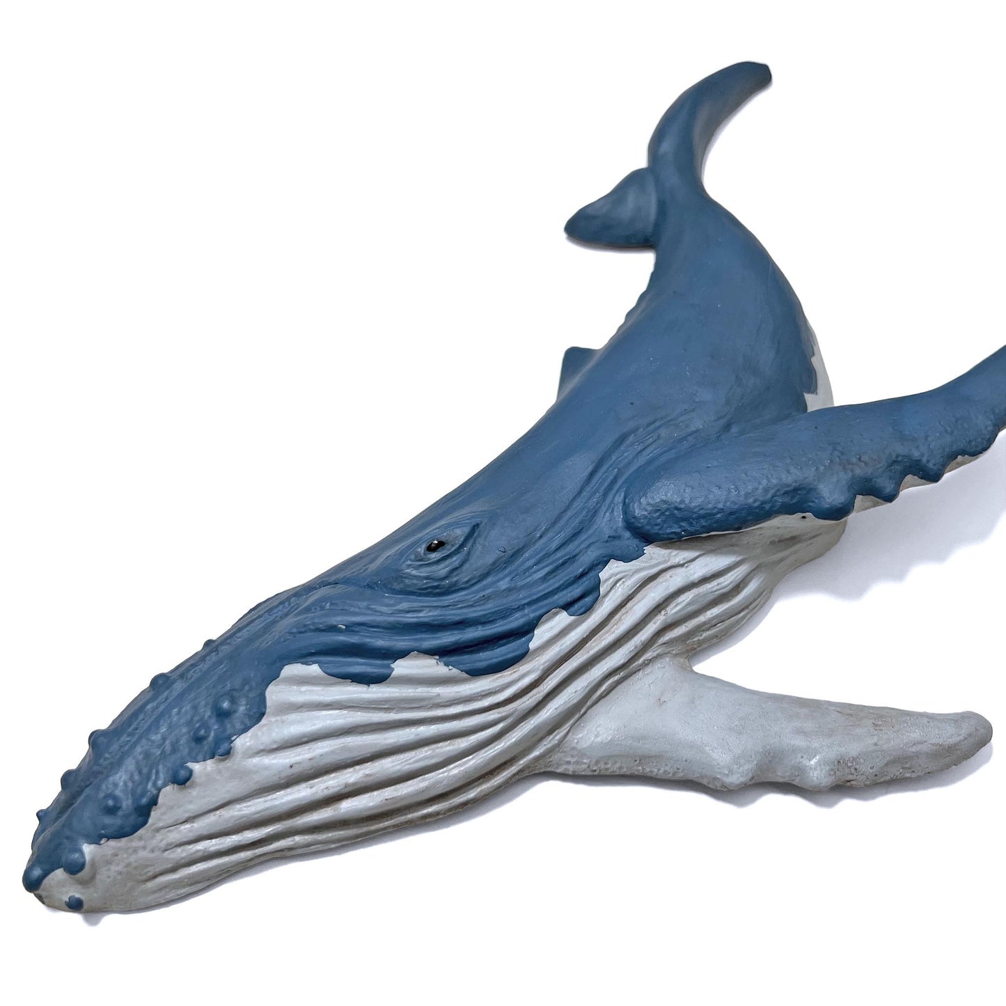 Humpback Whale Wall Art