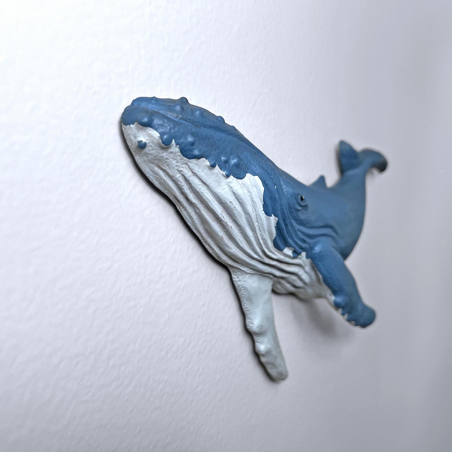 Humpback Whale Wall Art