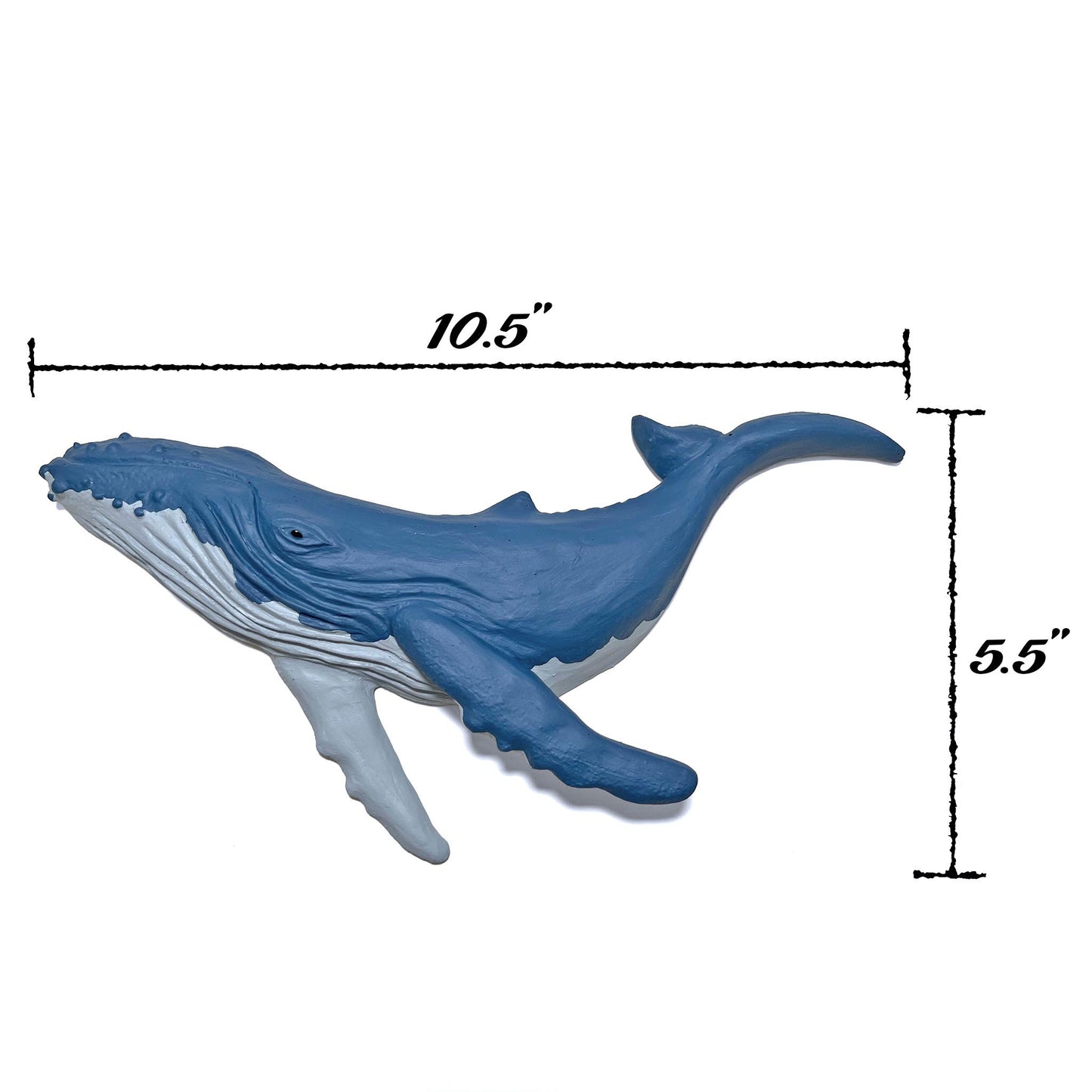 Humpback Whale Wall Art