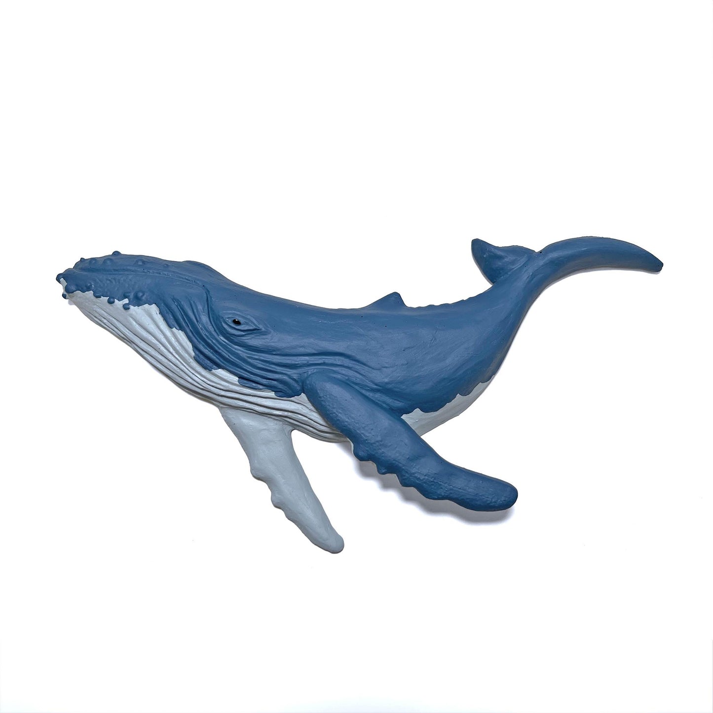 Humpback Whale Wall Art