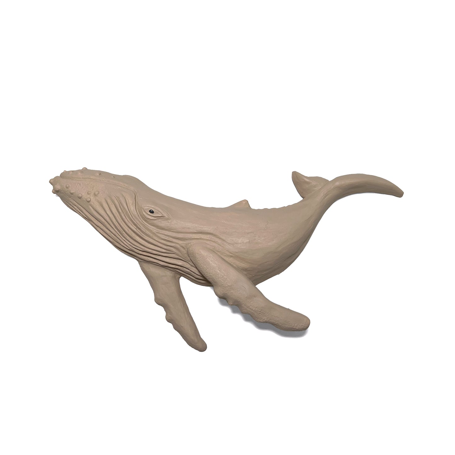 Humpback Whale Wall Art