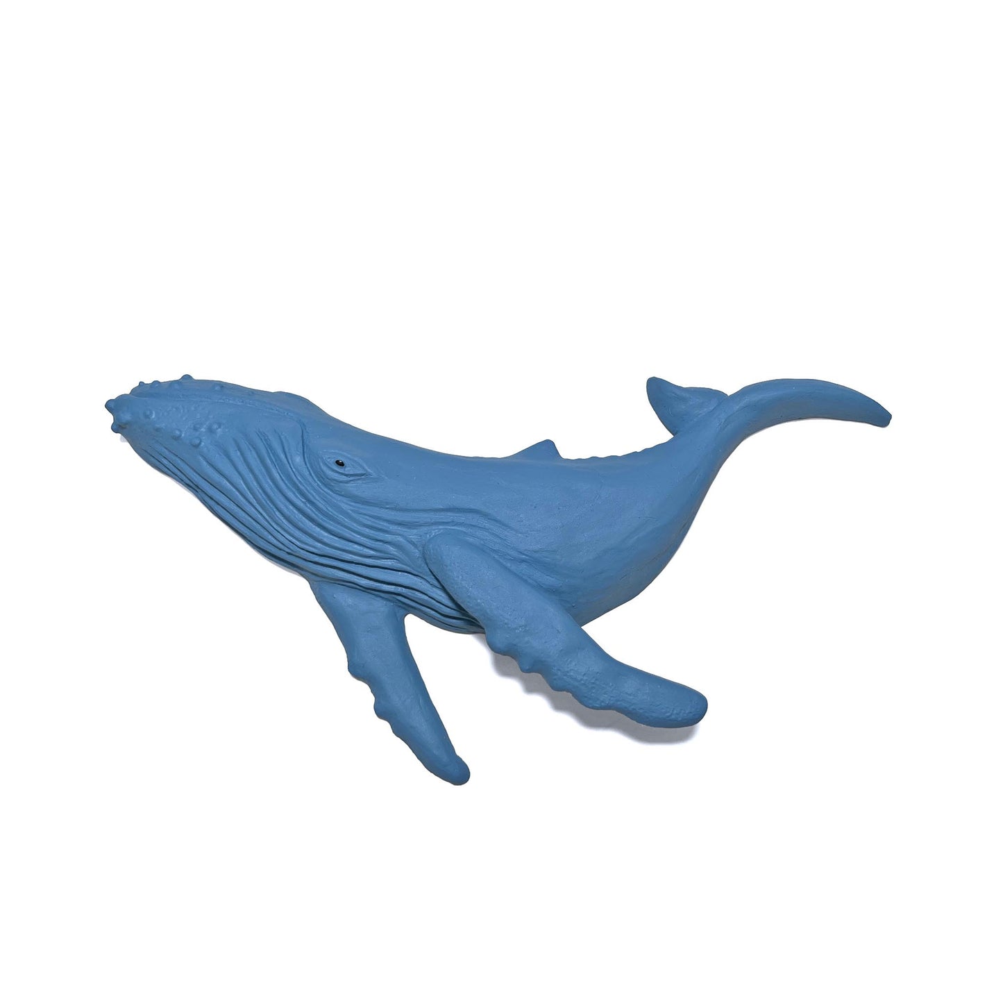 Humpback Whale Wall Art