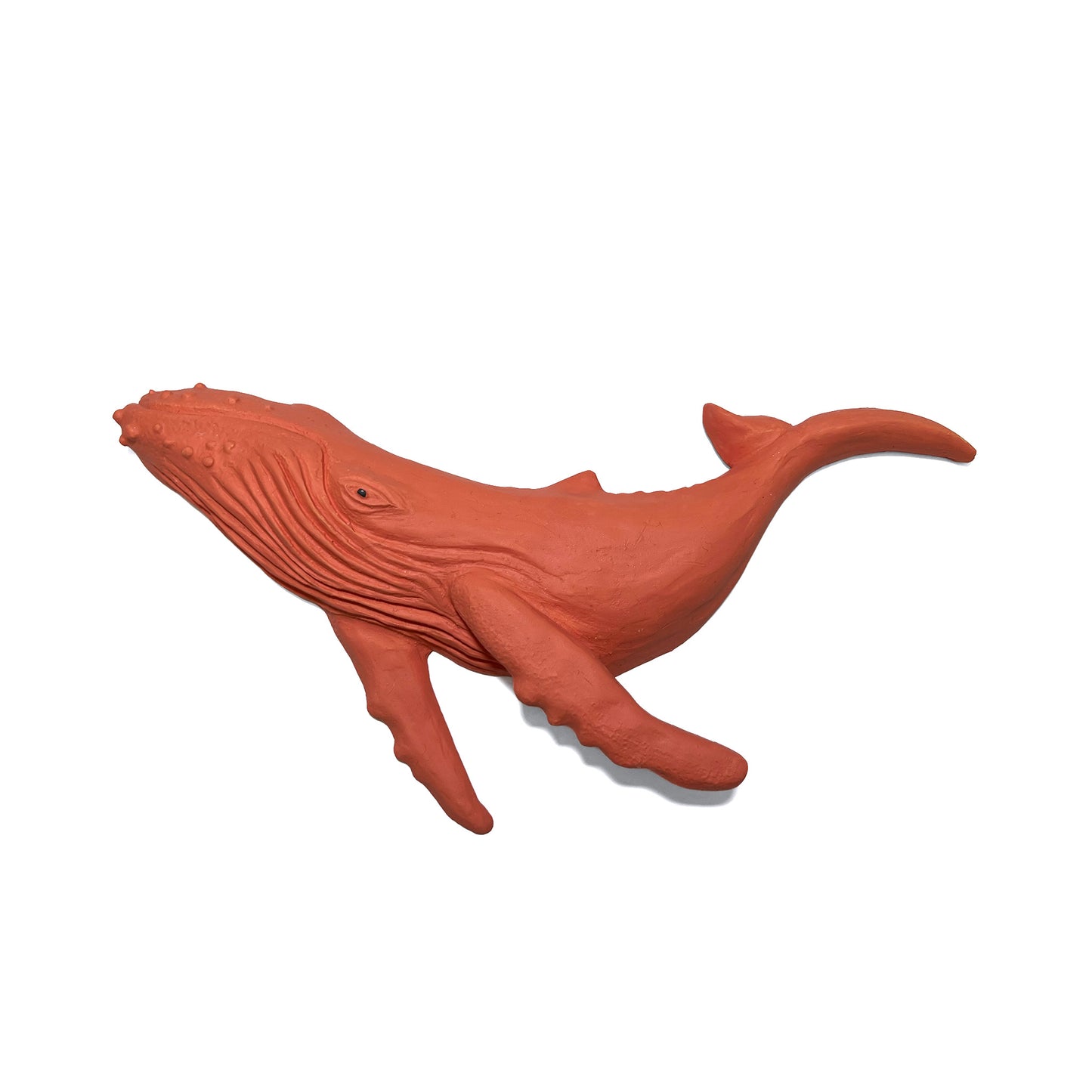 Humpback Whale Wall Art