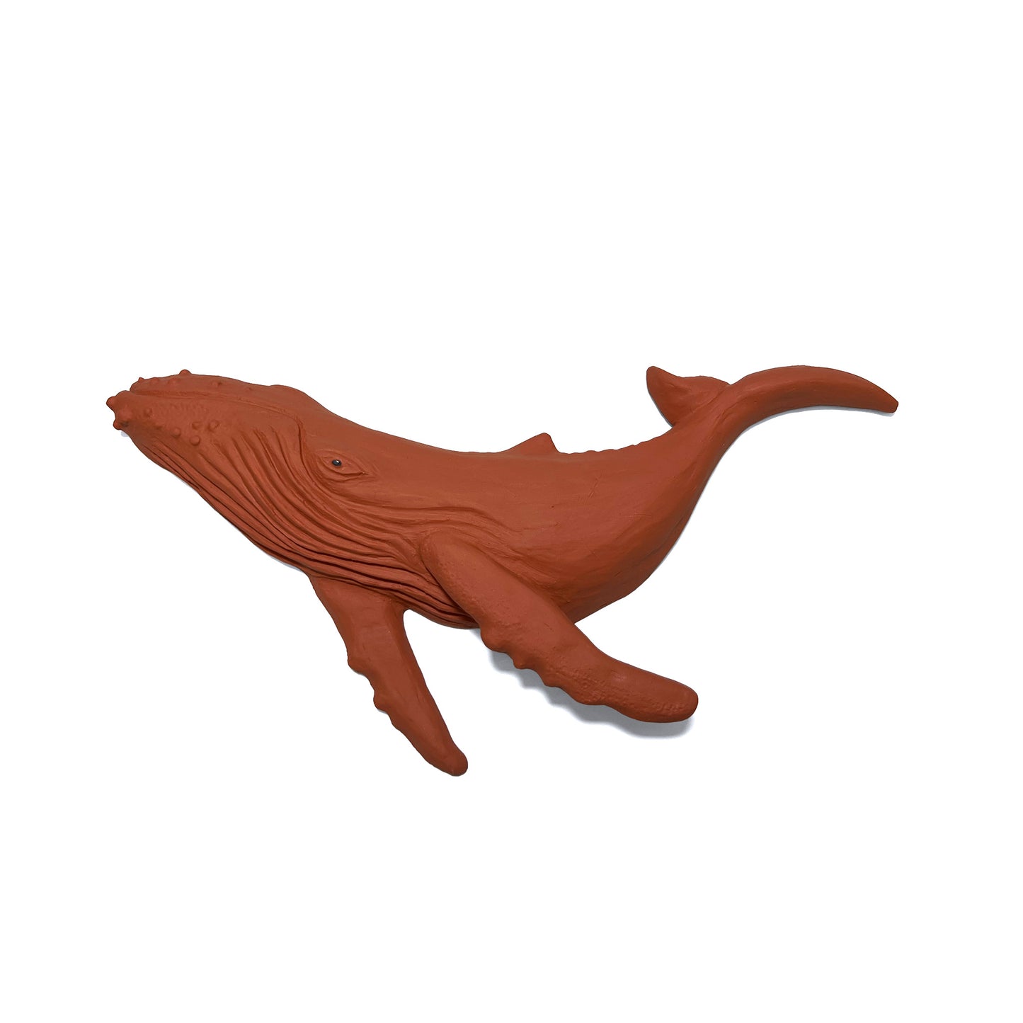 Humpback Whale Wall Art