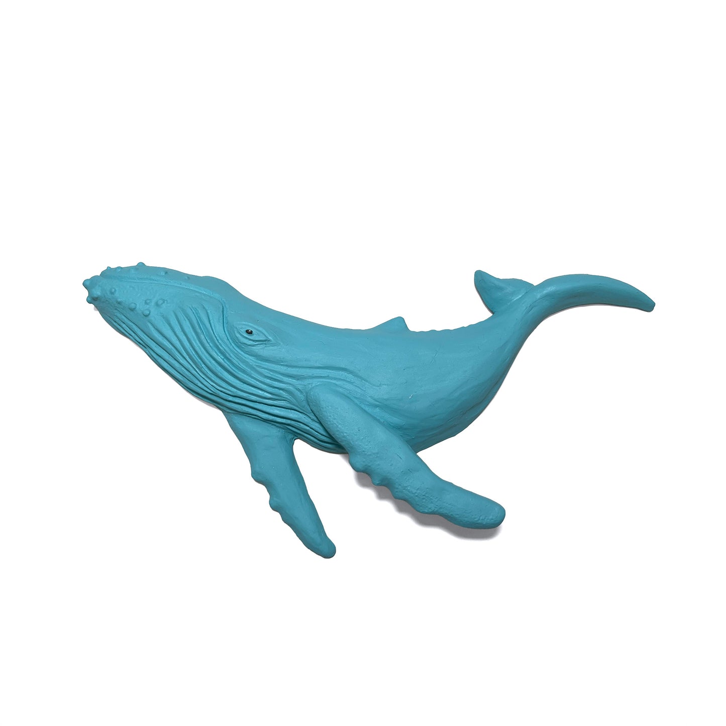 Humpback Whale Wall Art