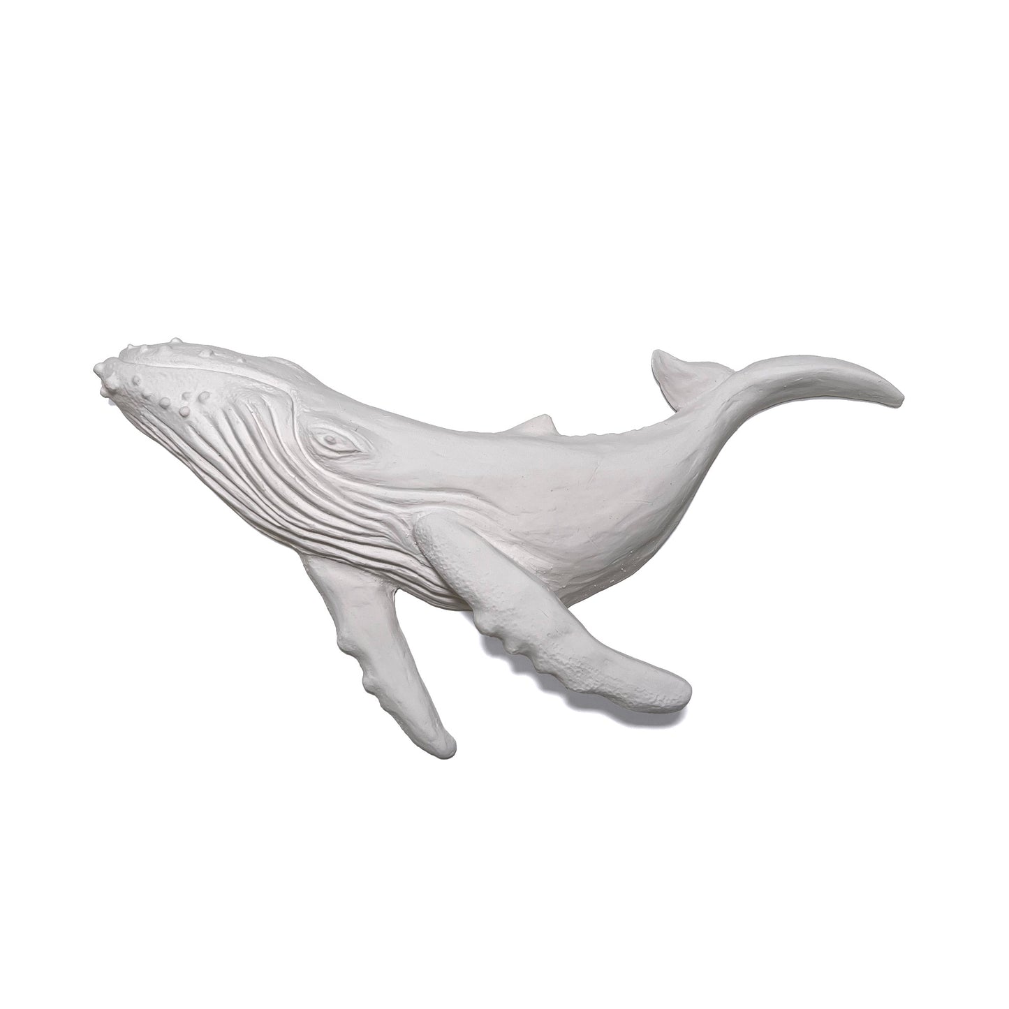 Humpback Whale Wall Art