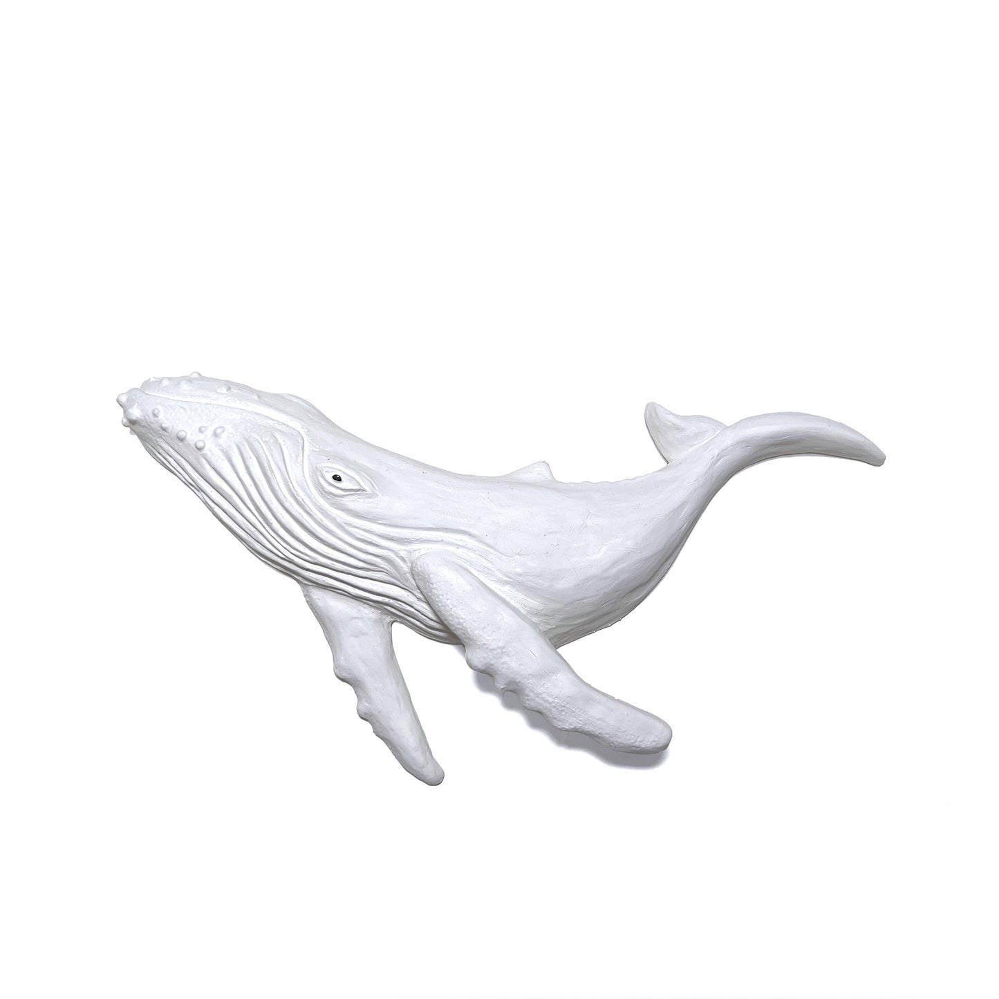 Humpback Whale Wall Art